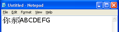 Two Simplified Chinese characters displayed in Notepad