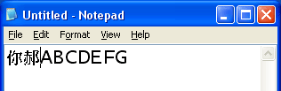Two Traditional Chinese characters displayed in Notepad