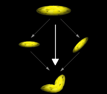 Blended composite of two objects with banana texture