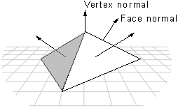 Diagram of vertex normals and face normals