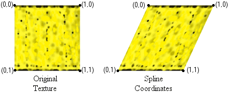 Spline based coordinates