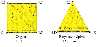 Barycentric spline based coordinates