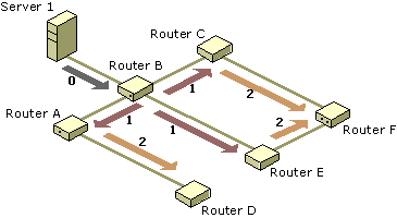 Router hop count process