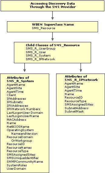 Accessing discovery data through the SMS Provider