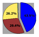 pie chart showing browser-version share values