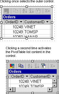 Selected and activated PivotTable list controls