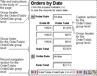 Grouped data access page with records in one group expanded