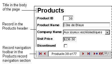 Sections on a data entry page in Page view