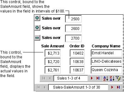 Page that groups records on intervals of 100 dollars, in Page view or Internet Explorer