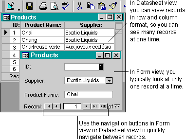 A form in Form view and Datasheet view