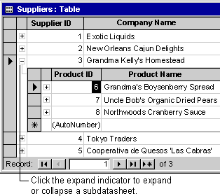 Suppliers table in Datasheet view containing a subdatasheet of the Products table