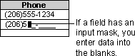 Input masks provide blanks to fill in