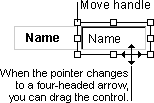 Control in data access page showing cursor changed to a four-headed arrow