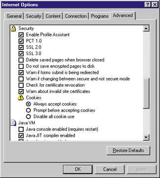 Figure 1: Security Options in Internet Explorer 4.0