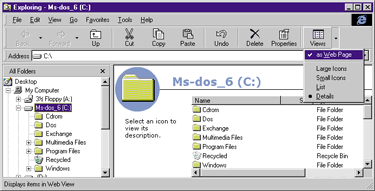 Figure 12: Web Page Folder View