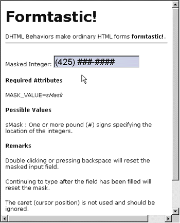 Figure 4: Masked Entry Field