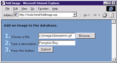 Figure 2: Adding an Image to a Database