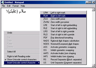 Figure 3 Edit Control Context Menu