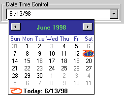 Figure 3 Date Time Control