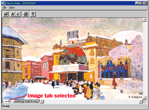 Figure 4 Modified DibView Image Page