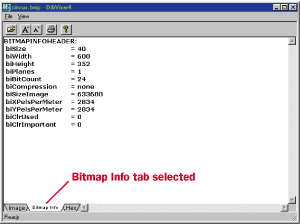 Figure 5 DibView Bitmap Info Page