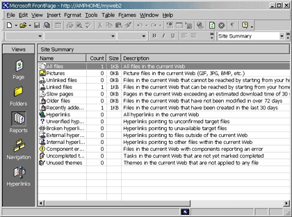 Figure 11: Project Statistics in FrontPage 2000