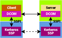 Figure 1  Using SSPI