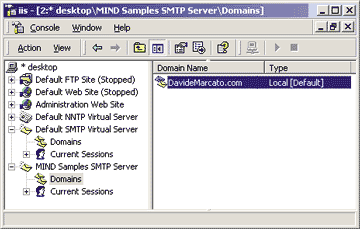 Figure 2: Creating a New Virtual Server and Local Domain