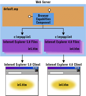 Figure 1: Different Versions for Different Browsers