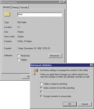 Figure 4: Setting Encryption Flags