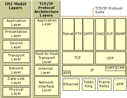 Figure 1.1    TCP/IP Protocol Architecture