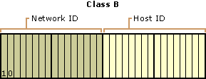 Figure 1.5    Class B IP Addresses