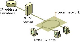 Figure 4.16    A Single Local Network Using Automatic TCP/IP Configuration with DHCP