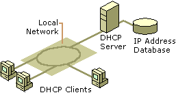 Figure 4.1    The Basic DHCP Model