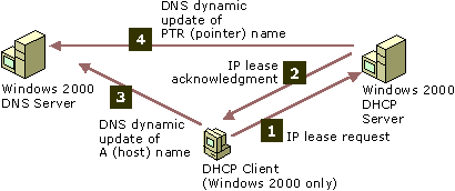 Figure 4.21    Windows 2000 DHCP Clients and Dynamic Updates