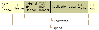 Figure 8.10    ESP Tunnel Mode