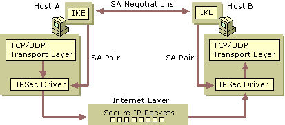 Figure 8.8    Overview: the IPSec Process