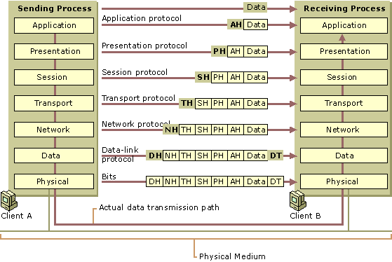 Figure A.2    OSI Model Data Flow