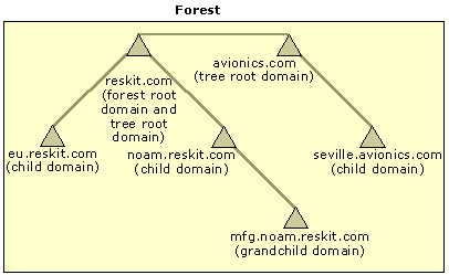 Figure 9.7    Forest with Multiple Trees