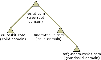 Figure 9.6    Single Tree with Four Domains 