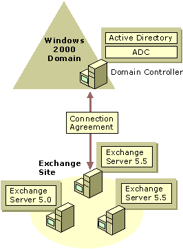 Figure 20.6    Single Windows 2000 Server Domain with a Single Exchange Server Site 