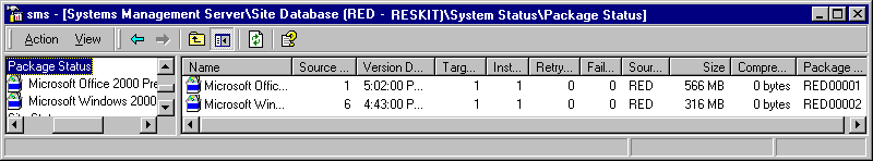 Figure 14.6    The Status of All Packages