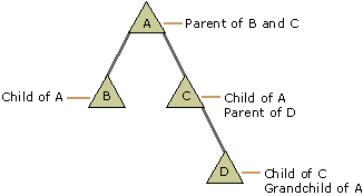 Figure 1.1    Example of a Domain Hierarchy