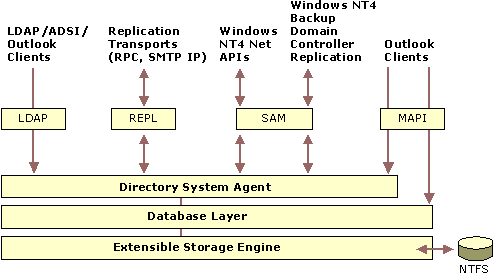 Figure 2.3    Active Directory Service Layers and Interface Agents