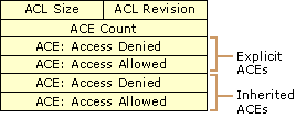 Figure 12.24    Canonical Order of ACEs