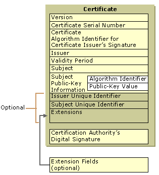 Figure 14.9    X.509 Version 3 Certificate