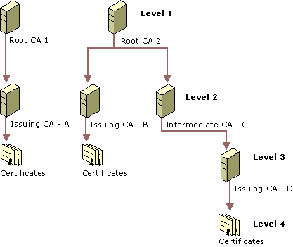 Figure 16.5    Certification Hierarchies