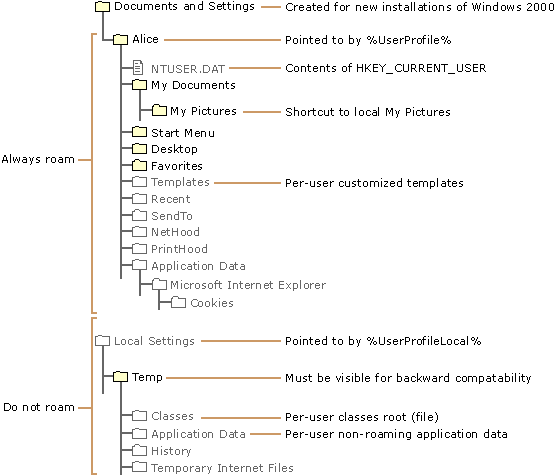 Figure 21.3    Default User Profile