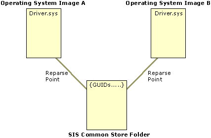 Figure 24.7    A File with a Reparse Pointing to the Common Store