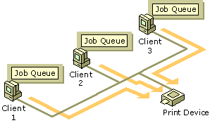 Figure 4.3    Local, Networked Print Device